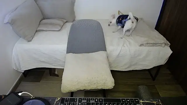 bossking017 online show from February 20, 2026, 4:31 pm