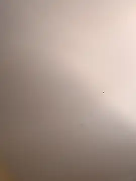 Snapshot of Matty_G88 chatting on September 29, 2025, 8:25 pm Matty G88 online show from September 29, 2025, 8:25 pm