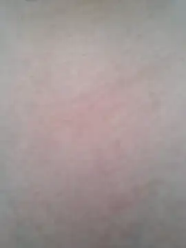 BigBoobs186 online show from October 20, 2025, 1:29 am