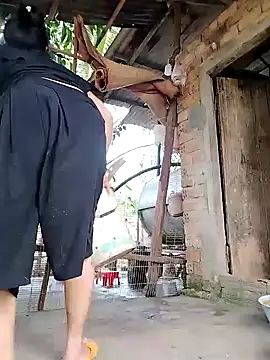 BigBoobs186 online show from January 11, 2026, 12:28 am