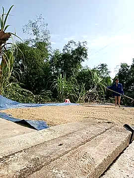 Ocnguyety online show from October 29, 2025, 2:21 am