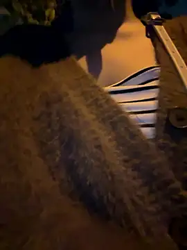 Meii-meyy online show from January 16, 2026, 2:54 pm