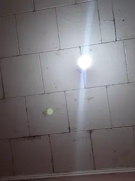 Tudiablita21 online show from November 5, 2025, 8:45 pm