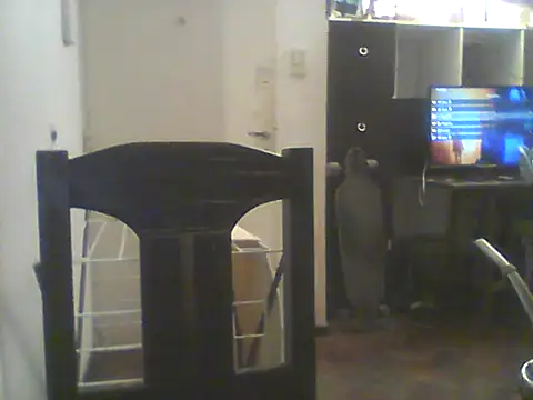 Snapshot of Bebita-zmp chatting on July 5, 2026, 1:43 am Bebita-zmp online show from July 5, 2026, 1:43 am