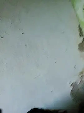 Snapshot of perversa068 chatting on February 4, 2026, 11:27 am perversa068 online show from February 4, 2026, 11:27 am