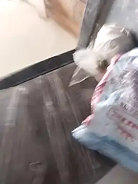 Wet BunnyFun online show from February 25, 2026, 10:04 am