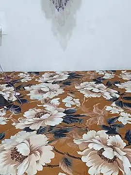 sneha bebo online show from January 9, 2026, 3:08 pm