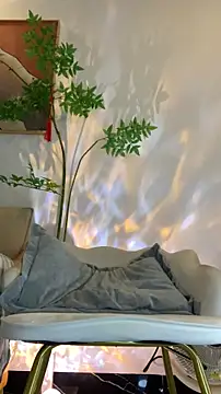 zhizhinaigai online show from February 16, 2026, 6:12 am