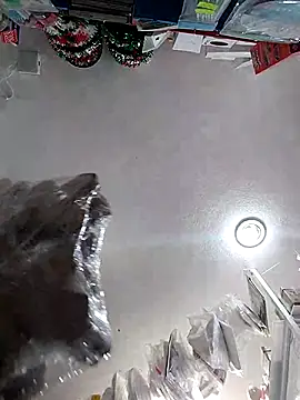 Snapshot of icpetlsjrukgwaykjrw_25 chatting on November 14, 2025, 8:56 pm icpetlsjrukgwaykjrw 25 online show from November 14, 2025, 8:56 pm