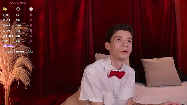 Snapshot of VicenteFerrer chatting on February 5, 2026, 1:01 am VicenteFerrer online show from February 5, 2026, 1:01 am