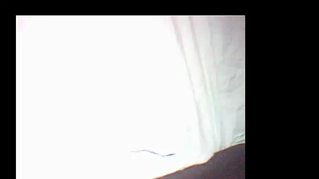 pietje1991 online show from December 19, 2025, 3:47 pm