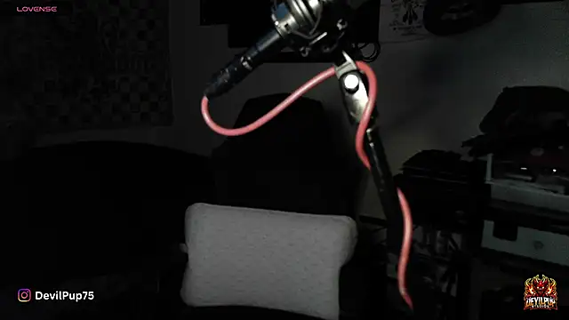 DevilPup75  online show from January 18, 2026, 2:59 am