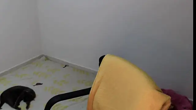 meganmiauu online show from May 11, 2026, 4:04 pm