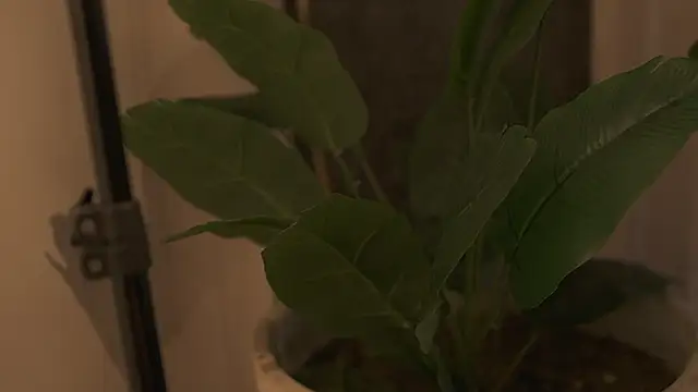 Ariaa Isabell online show from September 12, 2025, 6:29 pm