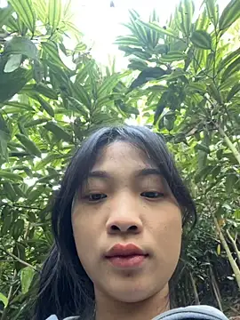 Phayphay77 online show from November 25, 2025, 1:06 am