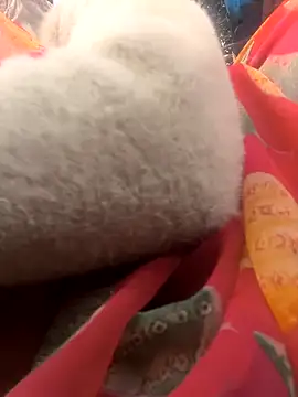 Hot raaani online show from January 15, 2026, 11:24 am