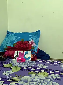 yang-2269 online show from February 17, 2026, 6:49 pm