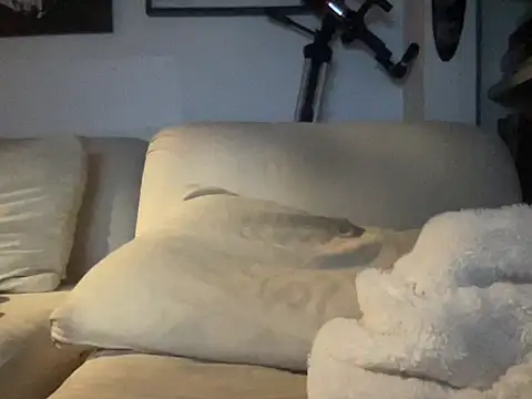 dddasani online show from October 17, 2025, 8:32 pm