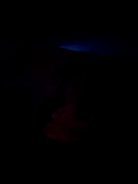 Ravi8879 online show from September 24, 2025, 7:04 am