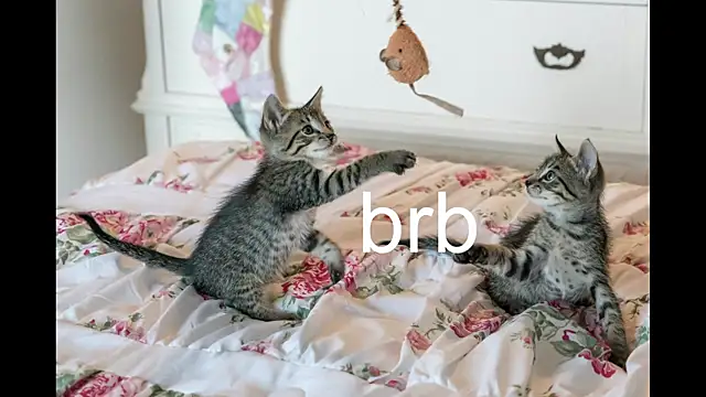 Pink girl0n online show from October 1, 2025, 9:51 pm