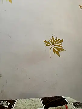 modelnishu online show from October 17, 2025, 1:42 am