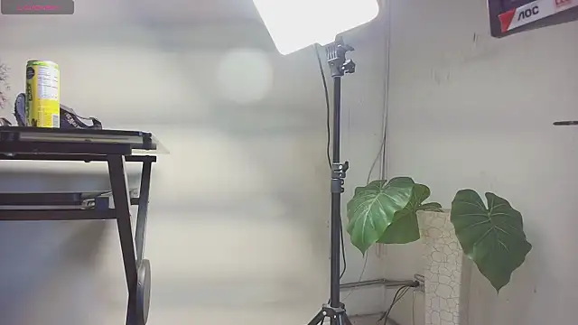 sakuramoss online show from October 24, 2025, 6:45 am