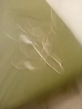 lameraverja123 online show from November 8, 2025, 11:08 pm