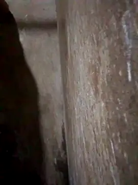 Lujor online show from March 31, 2026, 11:40 pm