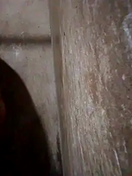 Lujor online show from March 13, 2026, 11:43 pm