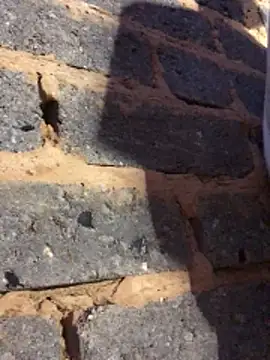 Snapshot of cuminsidebby chatting on February 14, 2026, 6:19 pm cuminsidebby online show from February 14, 2026, 6:19 pm