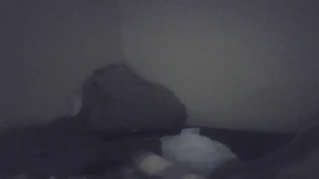 Snapshot of cuminsidebby chatting on February 7, 2026, 8:28 pm cuminsidebby online show from February 7, 2026, 8:28 pm