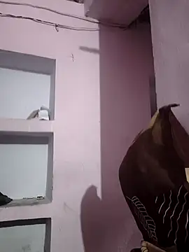 sexykrisha online show from November 15, 2025, 3:32 am