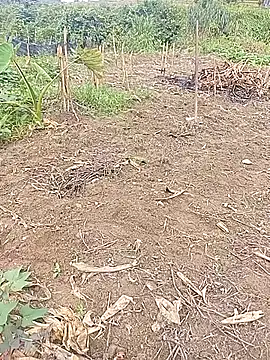 Phuongphuongg online show from October 21, 2025, 3:17 am