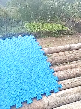 Phuongphuongg online show from October 26, 2025, 3:40 am