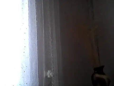 Snapshot of Littlecatme chatting on July 7, 2026, 7:23 am Littlecatme online show from July 7, 2026, 7:23 am