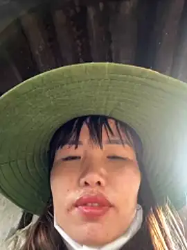 Sunny lotus online show from November 15, 2025, 2:04 am