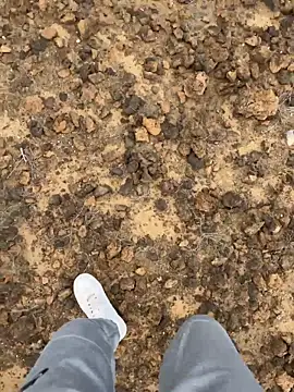 Manu97k online show from March 12, 2026, 3:16 pm