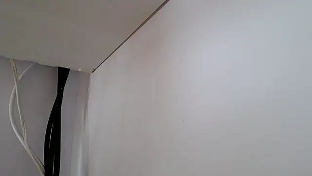 Stein  online show from November 15, 2025, 8:24 pm