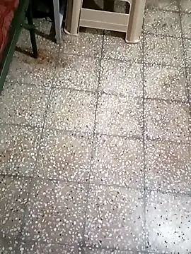 Snapshot of twpatil chatting on October 25, 2025, 4:33 am twpatil online show from October 25, 2025, 4:33 am