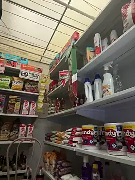 Sallem Pink online show from February 13, 2026, 11:21 am