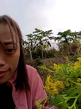 optra34 online show from February 5, 2026, 1:56 am