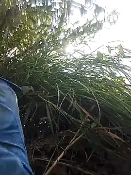 optra34 online show from October 13, 2025, 3:30 am