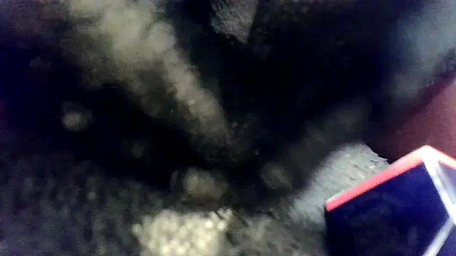 Evieskyyxh online show from November 26, 2025, 10:48 am