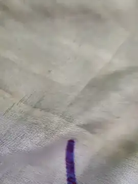 RAYI Queen 4 online show from March 29, 2026, 5:20 am