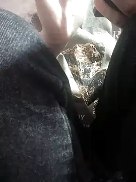 Snapshot of sasud2 chatting on November 26, 2025, 1:38 am sasud2 online show from November 26, 2025, 1:38 am