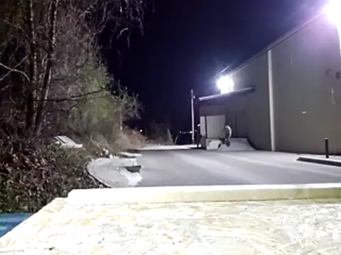 sloppytopkins online show from April 1, 2026, 3:41 am