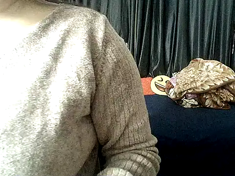 Anaconda-Mall online show from December 4, 2025, 7:02 pm