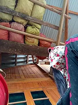 TinTin321 online show from October 24, 2025, 2:32 am