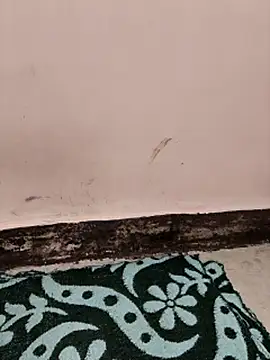 Snapshot of Indian-Aleena chatting on April 1, 2026, 1:41 pm Indian-Aleena online show from April 1, 2026, 1:41 pm