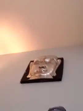 djcarey369159 online show from April 5, 2026, 9:10 pm